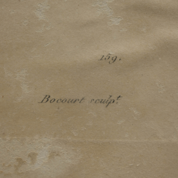 Fraisier Souchet – Çilek Botanik Gravürü